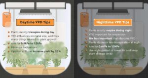 How To Control VPD In A Grow Tent?